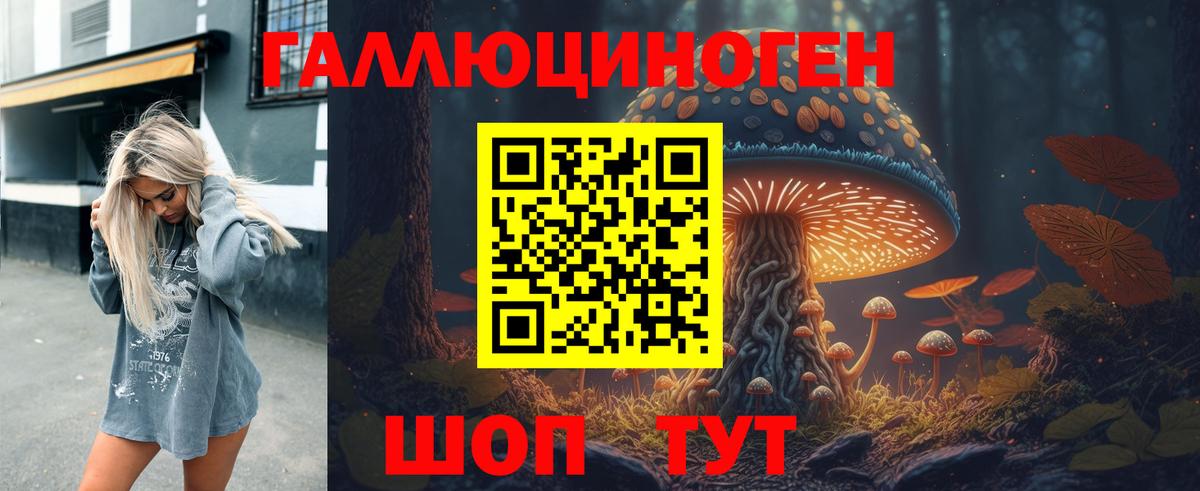 Галлюциногенные грибы прущие грибы  Галлюциногенные грибы Psilocybe  Вход с VPN  Абакан 