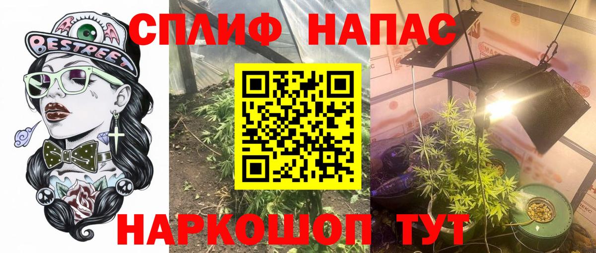Бошки Шишки индика Абакан
